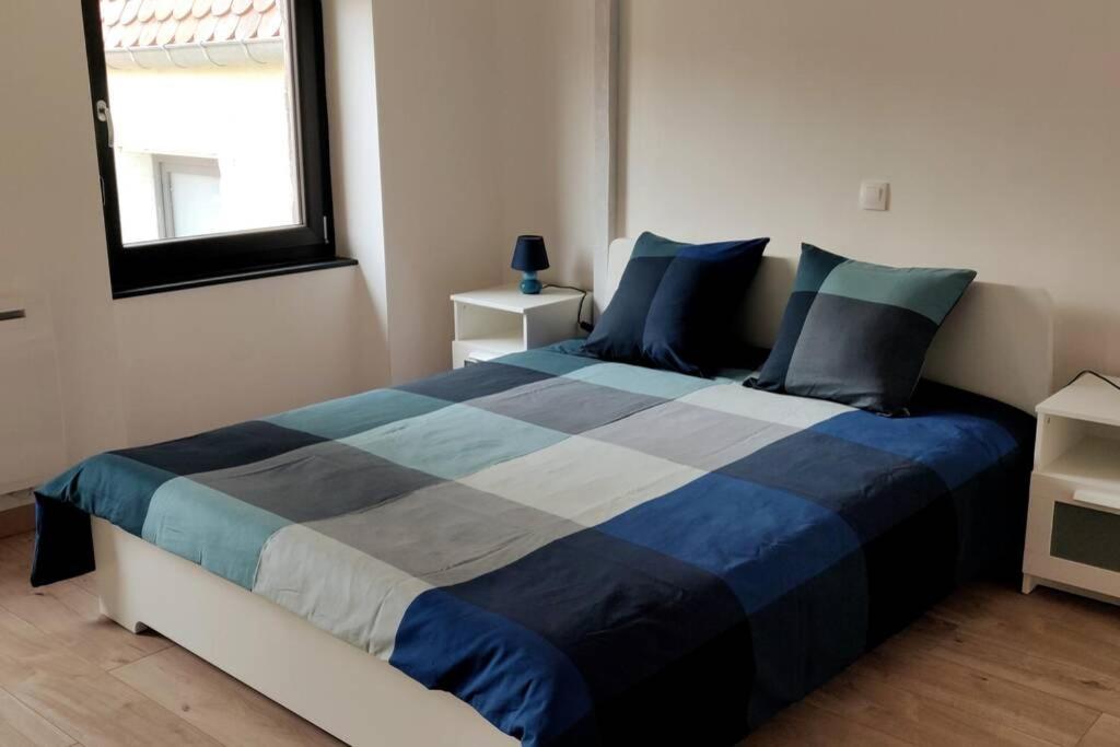 Le Blue, Appartement De Standing En Hyper-Centre Sarreguemines Exterior foto